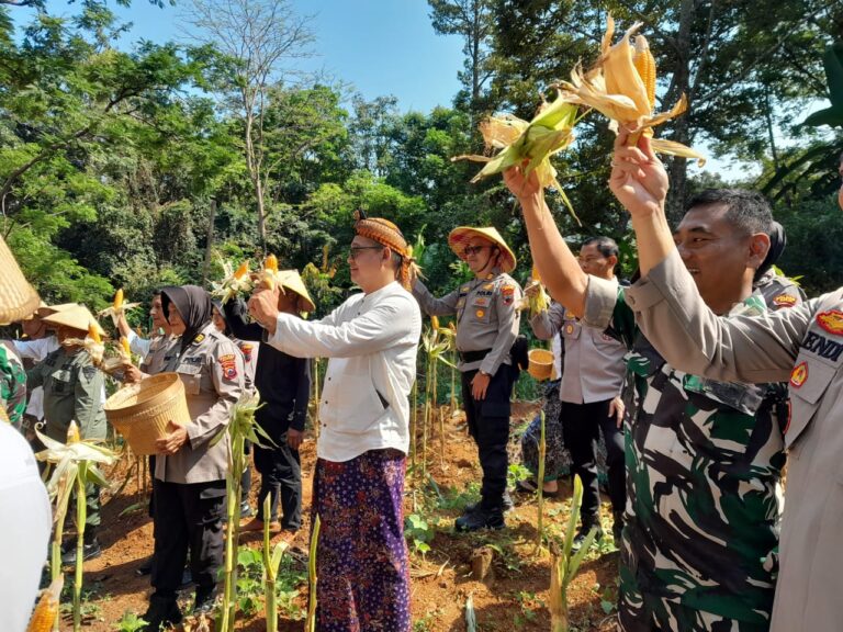 WhatsApp Image 2025-06-05 at 12.50.57